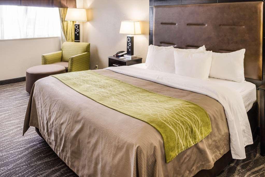 Comfort Inn Downtown Charleston Rum bild